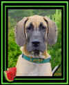 Foto: Wenche E. Evensen