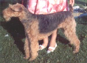 Bury3.JPG (13941 bytes)
