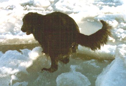Isbader.JPG (21399 bytes)