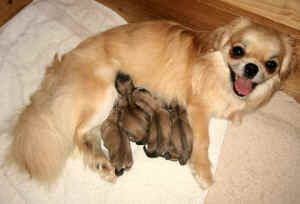 Img_4831.jpg (20022 byte)